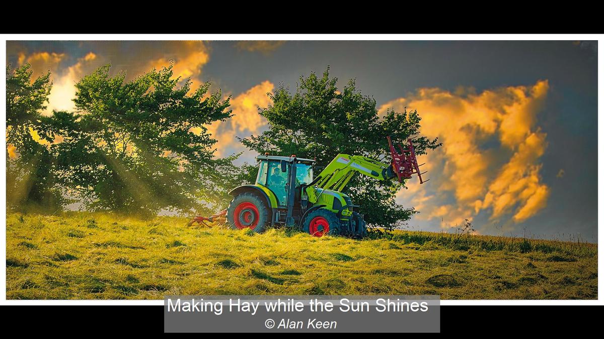 Making Hay while the Sun Shines  Alan Keen